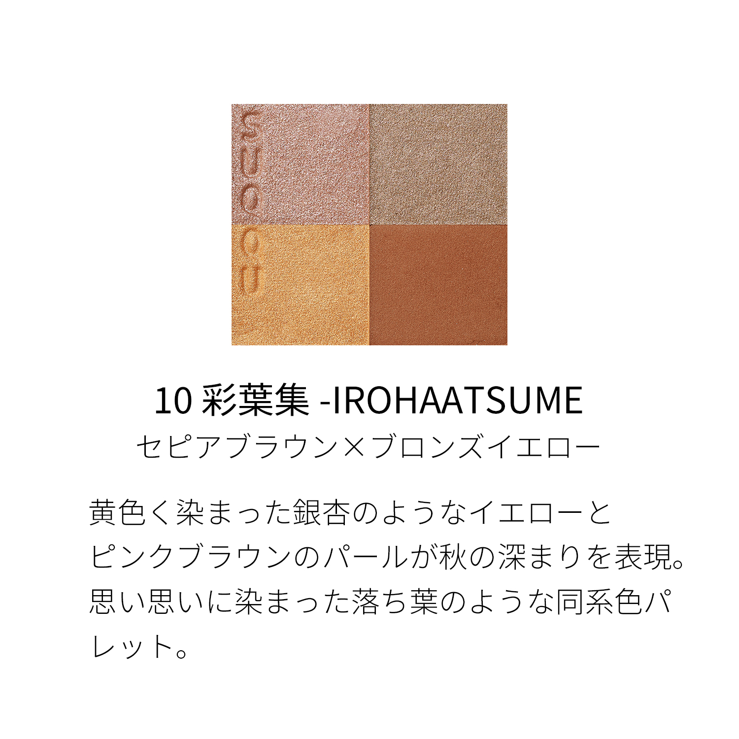 シグニチャー カラー アイズ　10 彩葉集 -IROHAATSUME
